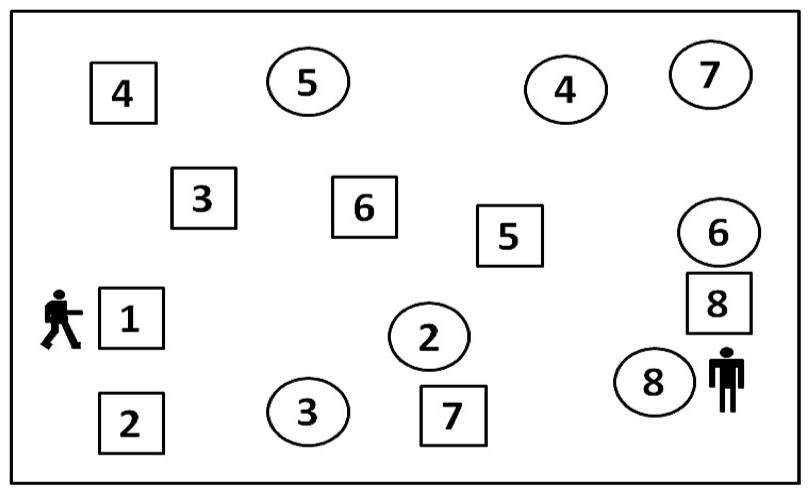 Shape Trail Test